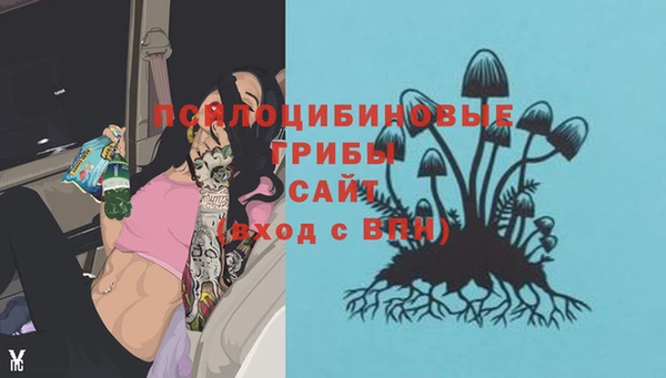 героин Новодвинск