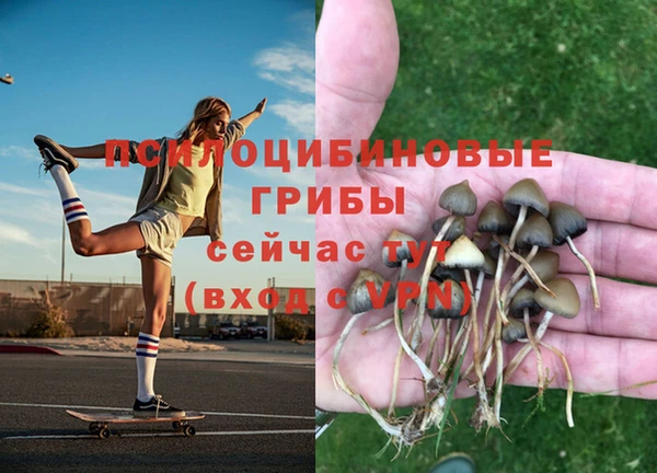 героин Новодвинск