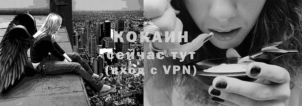 МДМА Новозыбков
