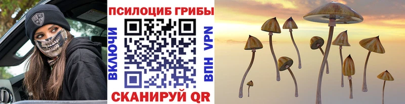 Псилоцибиновые грибы ЛСД  Купить  Тотьма 